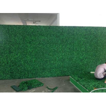 La hierba verde de plástico de boj artificial seto de pared / valla / decoración de jardín precio al por mayor